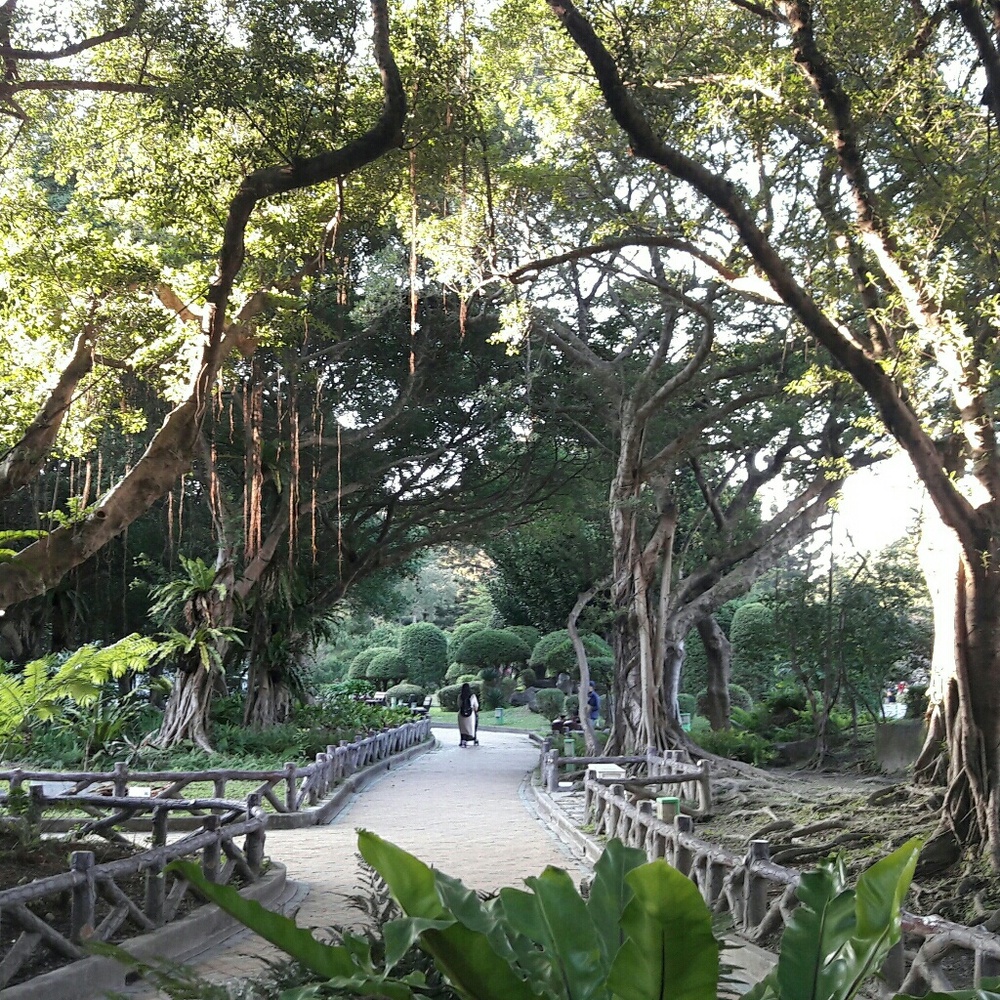 Meet your Posher, Celestine